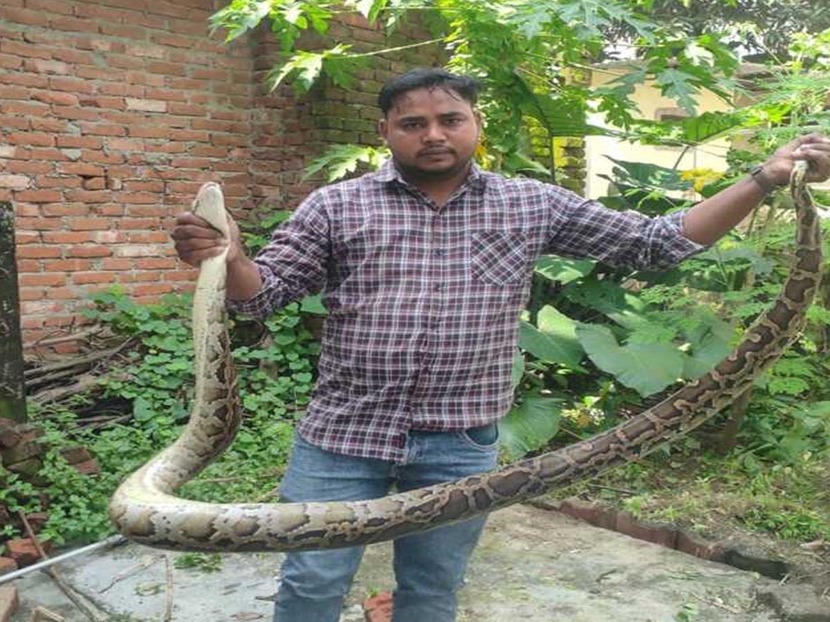 वन विभाग ने अजगर को रेस्क्यू किया